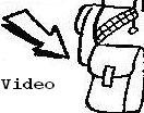 Funny Videos